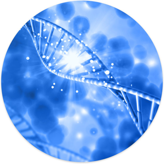 Life Sciences